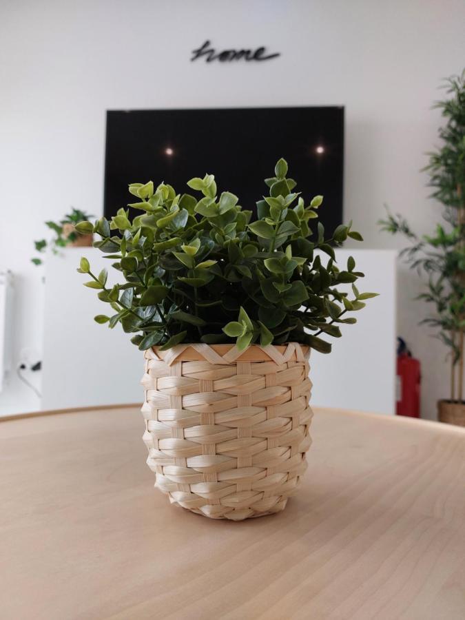 Beach Life Apartment, New, Elegant And Cozy Nazare Ngoại thất bức ảnh